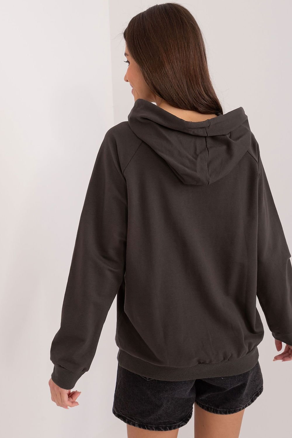 Sweatshirt model 197447