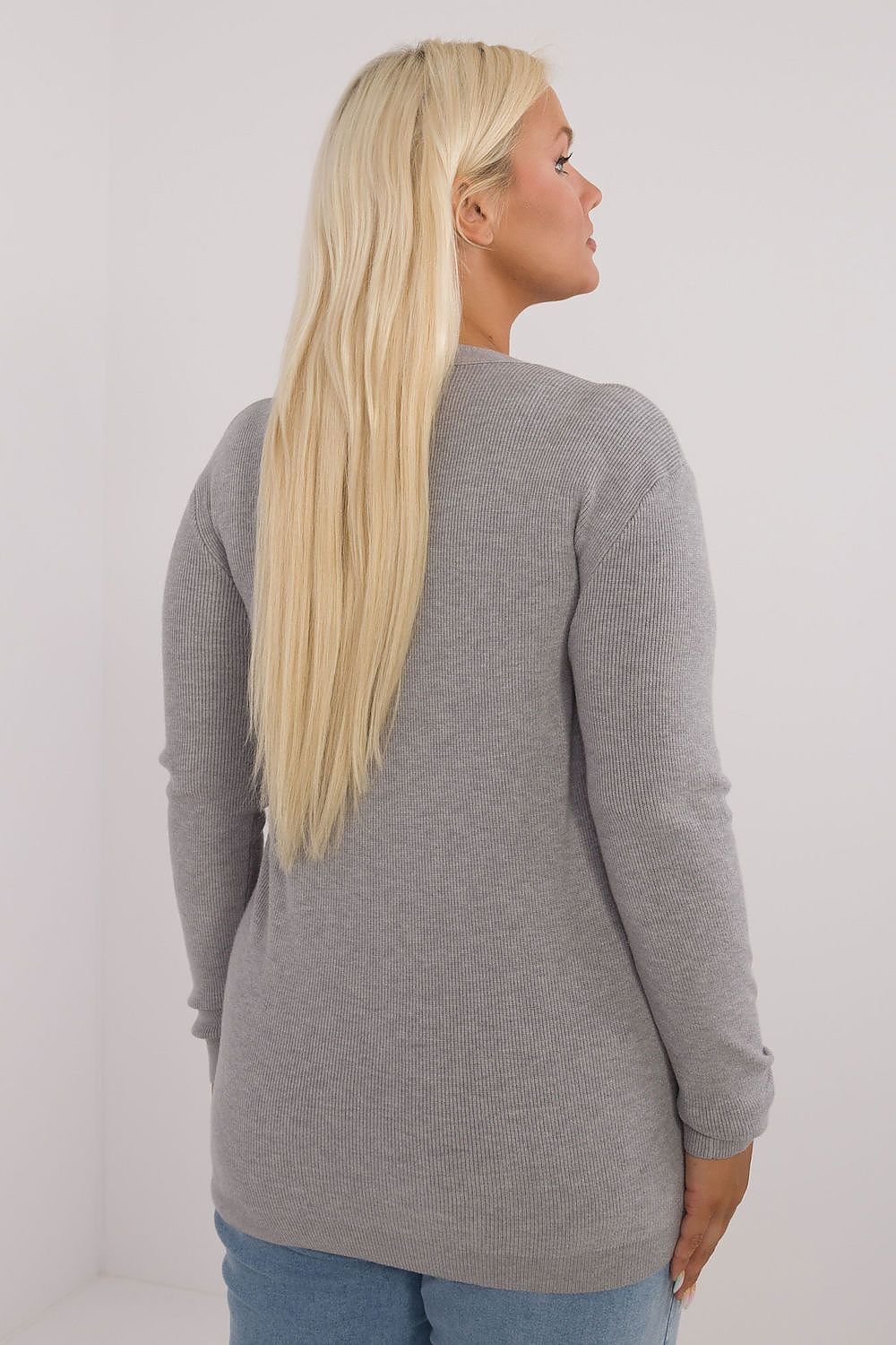 Chandail plus size model 201406