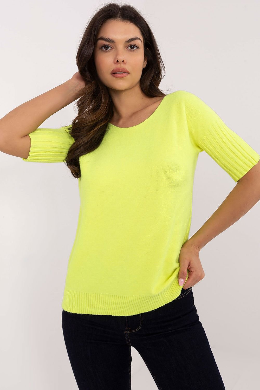 Pull à manches courtes model 203808