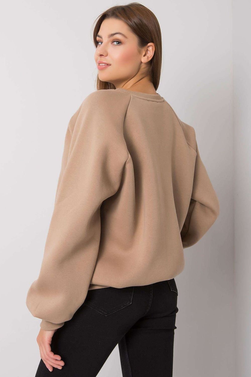 Sweatshirt model 160820