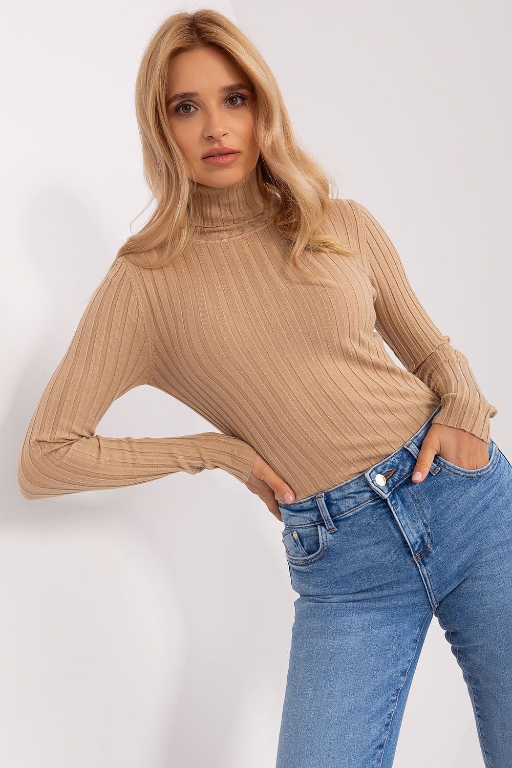 Col roulé model 203016