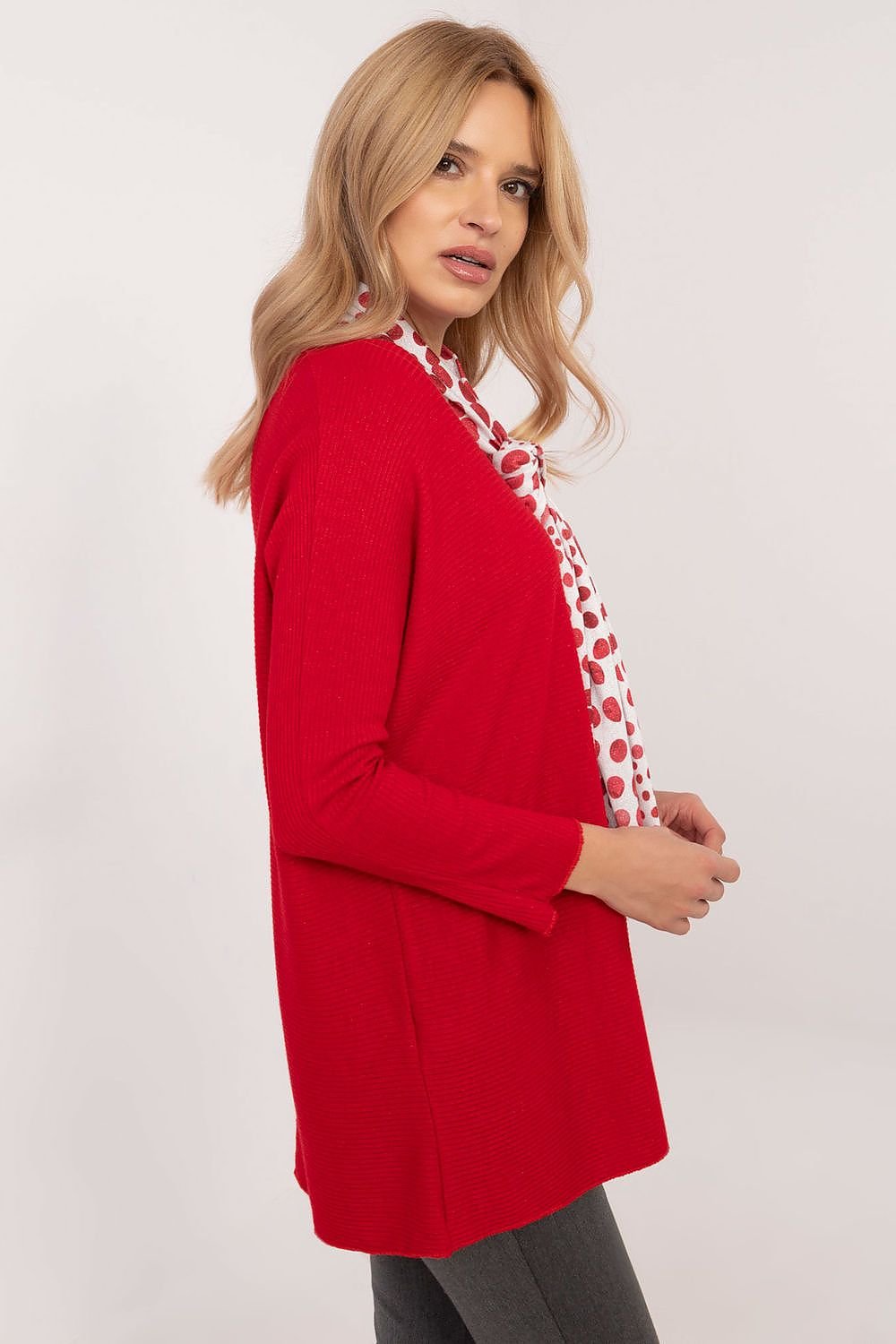 Chandail model 203743