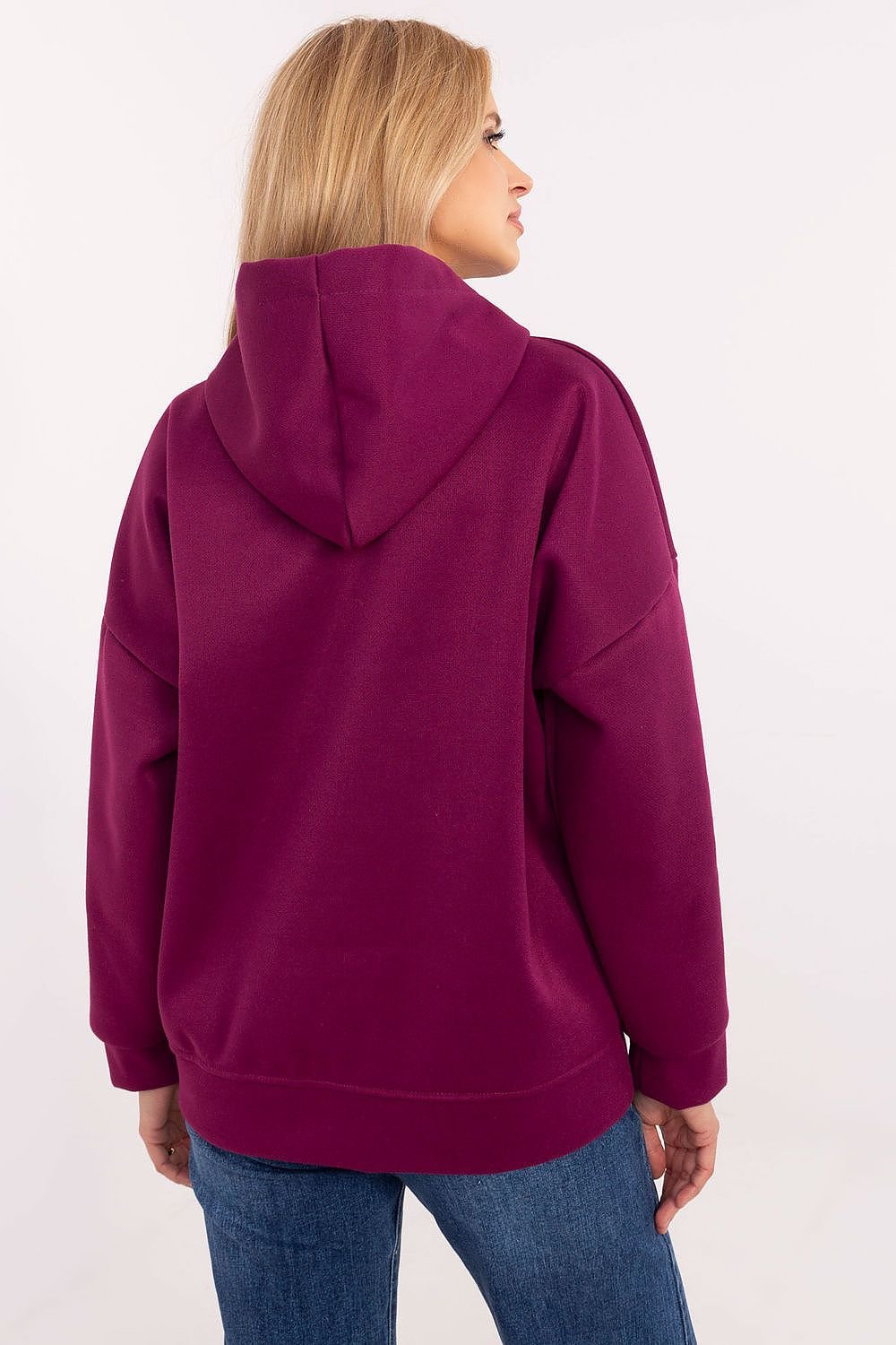 Sweatshirt model 204966