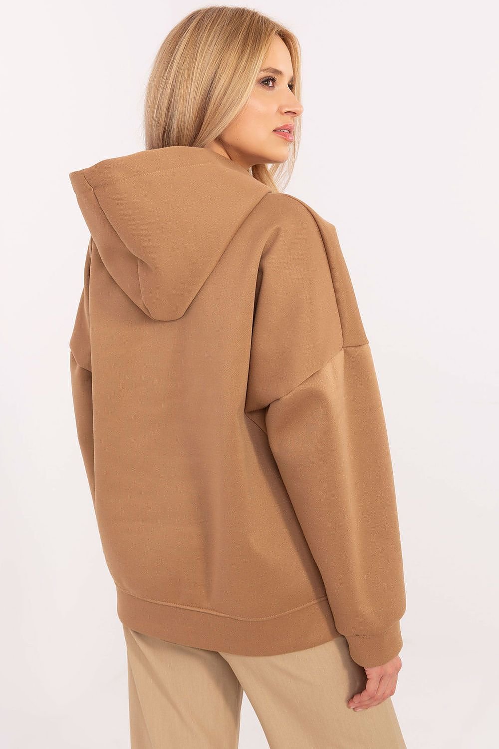 Sweatshirt model 204966