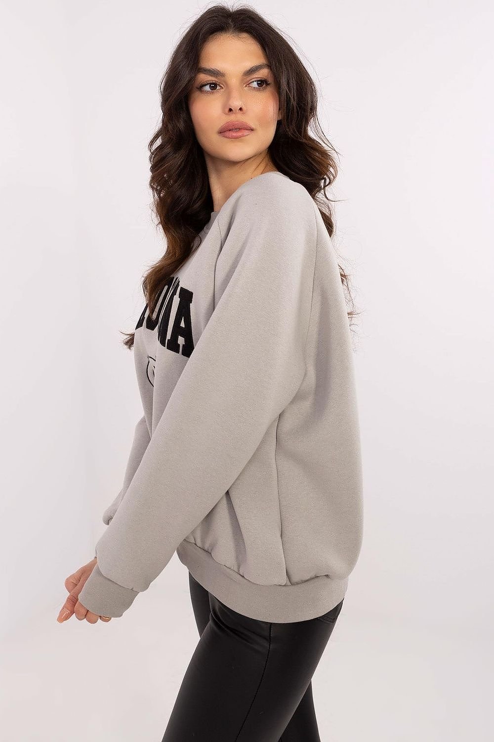 Sweatshirt model 206362