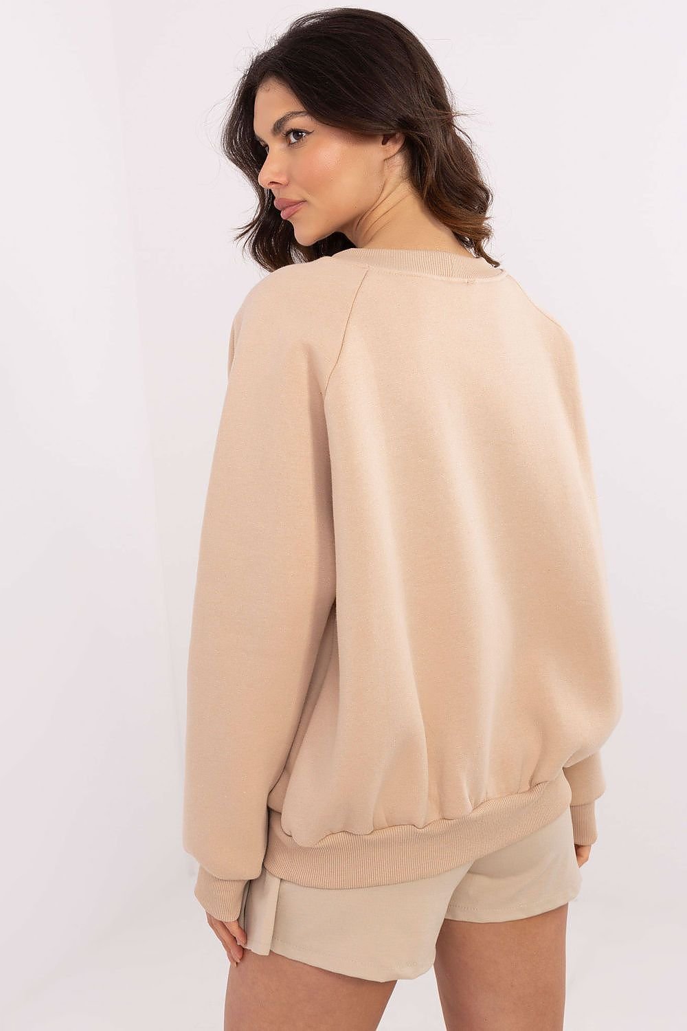 Sweatshirt model 206362