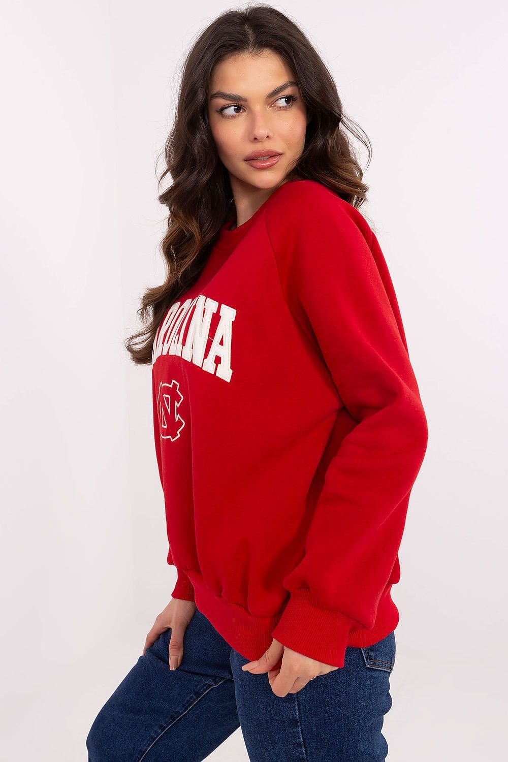 Sweatshirt model 206362