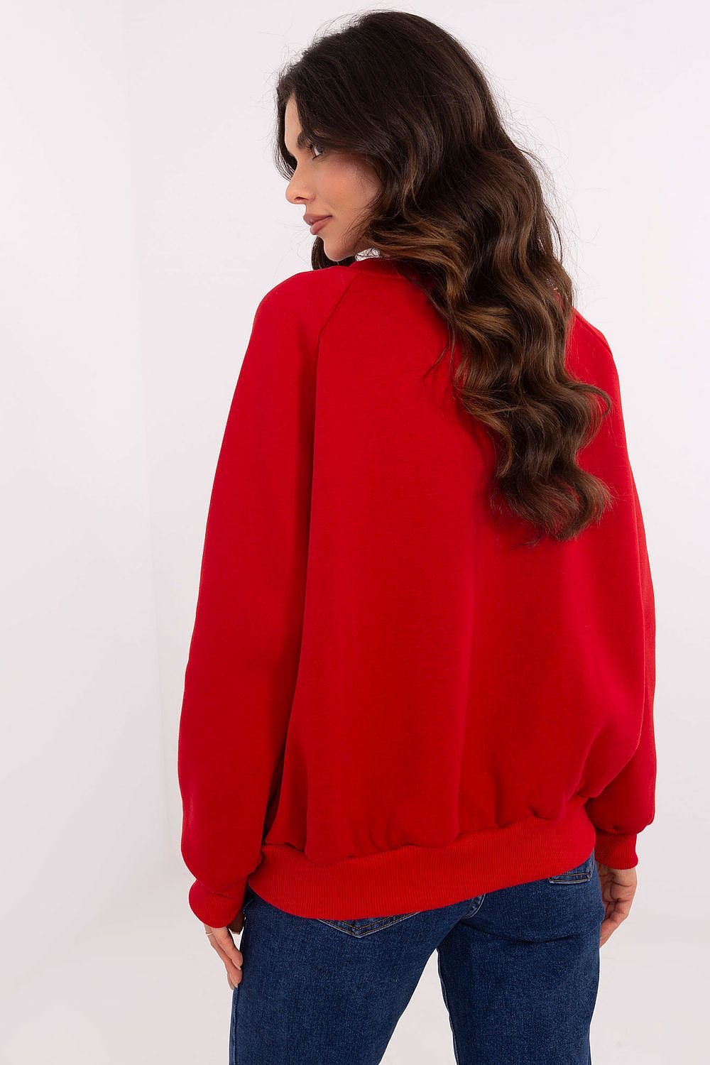 Sweatshirt model 206362