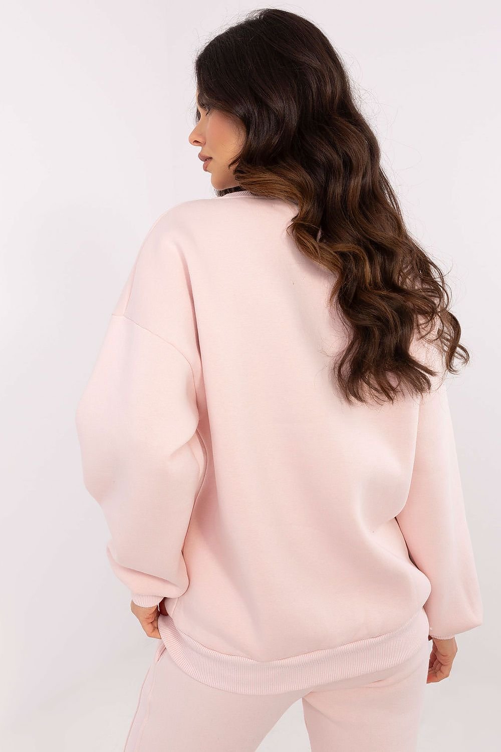 Sweatshirt model 206371