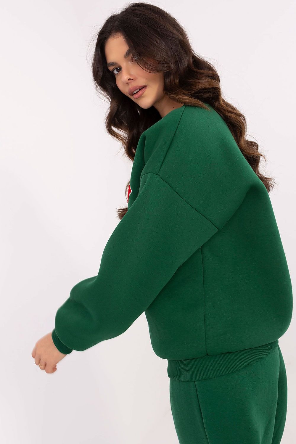 Sweatshirt model 206371