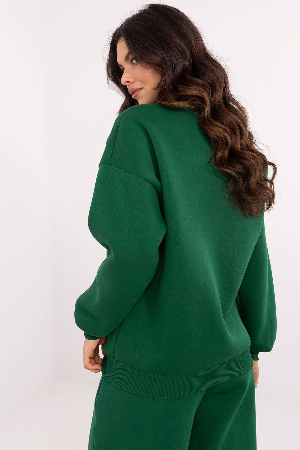 Sweatshirt model 206371