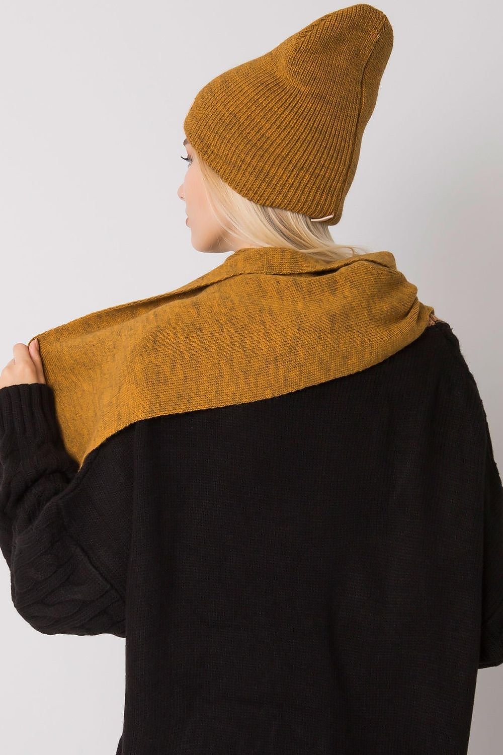 L`ensemble model 171816