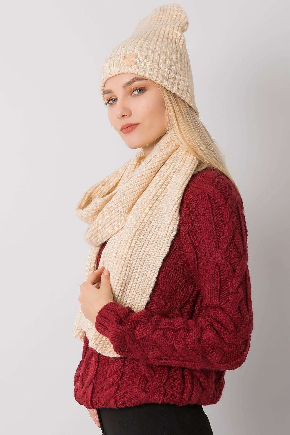 L`ensemble model 171822